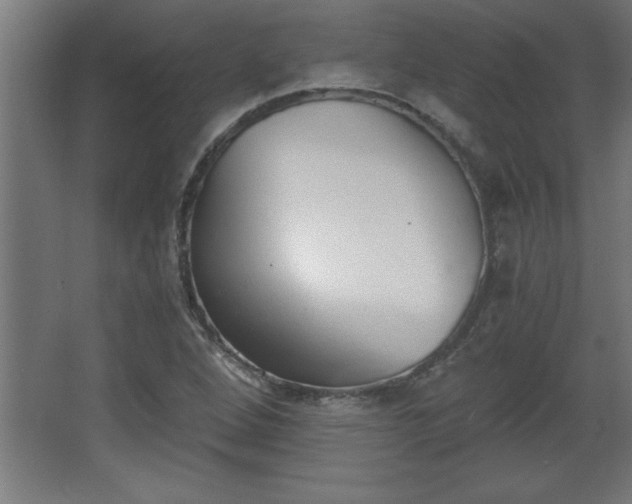 X0000068261264200604281516