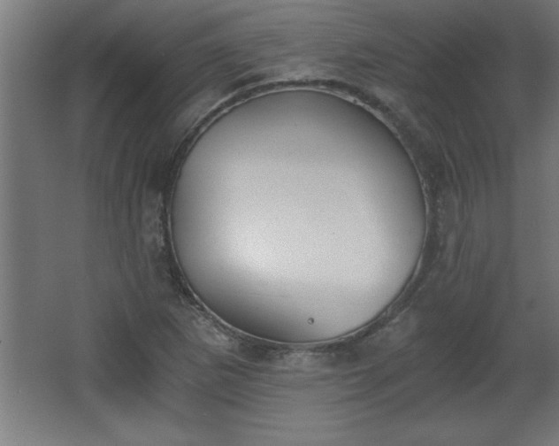 X0000068261265200604281516