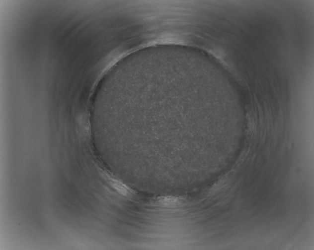 X0000068261266200604281516