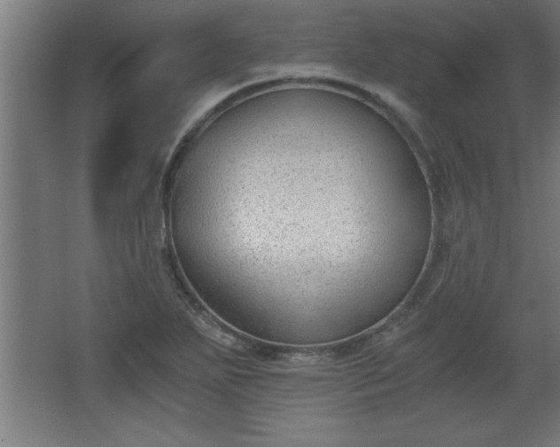 X0000068261271200604281516