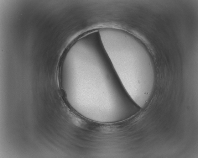 X0000068261272200604281516