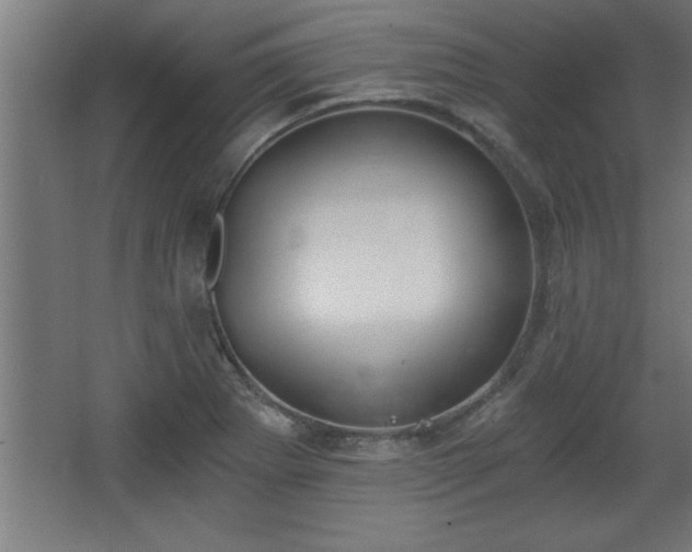 X0000068261273200604281516