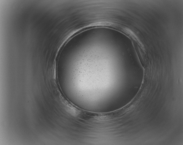 X0000068261276200604281516