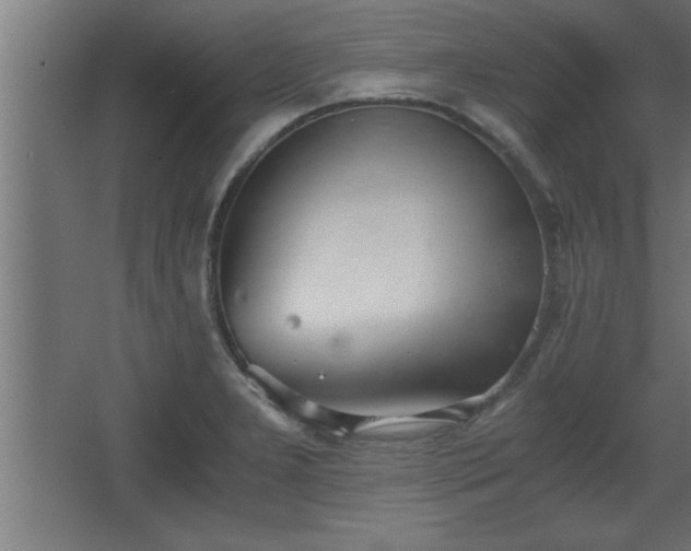 X0000068261277200604281516