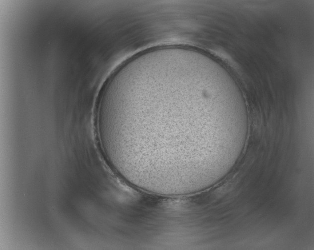 X0000068261278200604281516