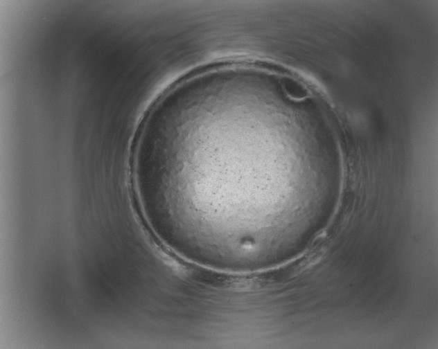 X0000068261279200604281516