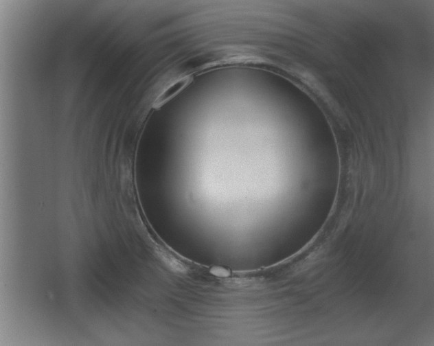 X0000068261281200604281516