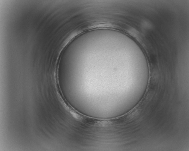 X0000068261282200604281516