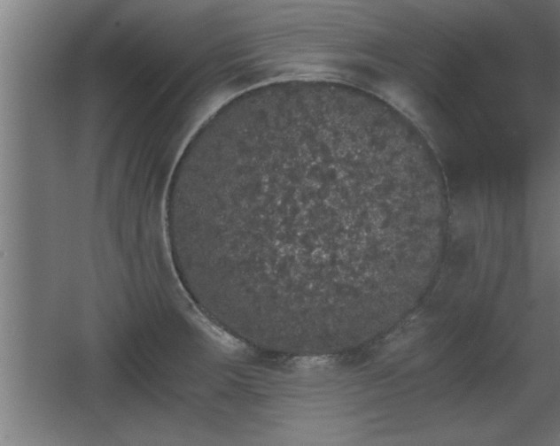 X0000068261283200604281516