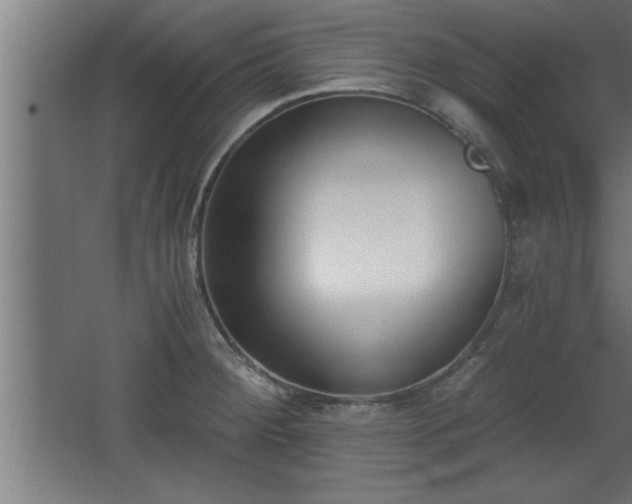 X0000068261284200604281516