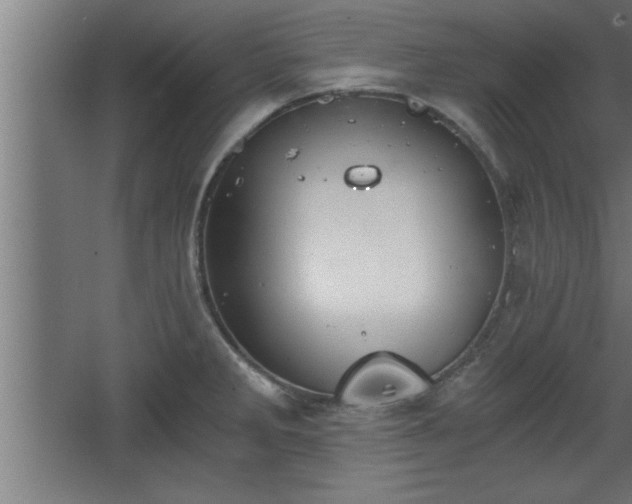 X0000068261285200604281516