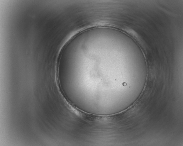 X0000068261286200604281516