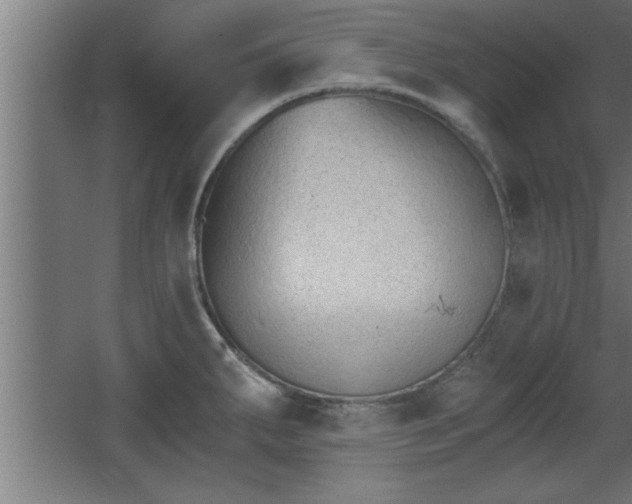 X0000068261287200604281516