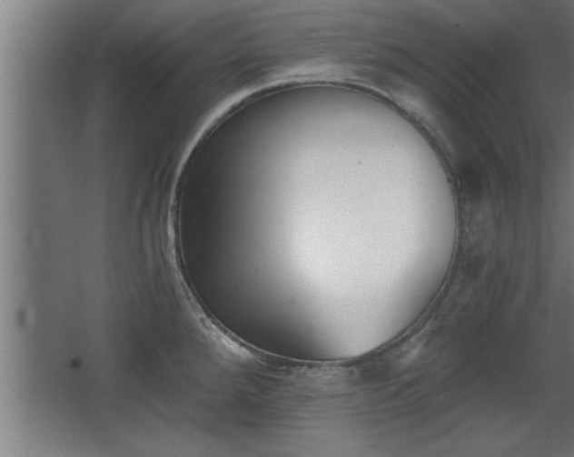 X0000068261288200604281516