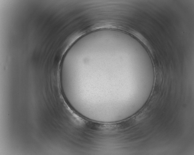 X0000068261290200604281516