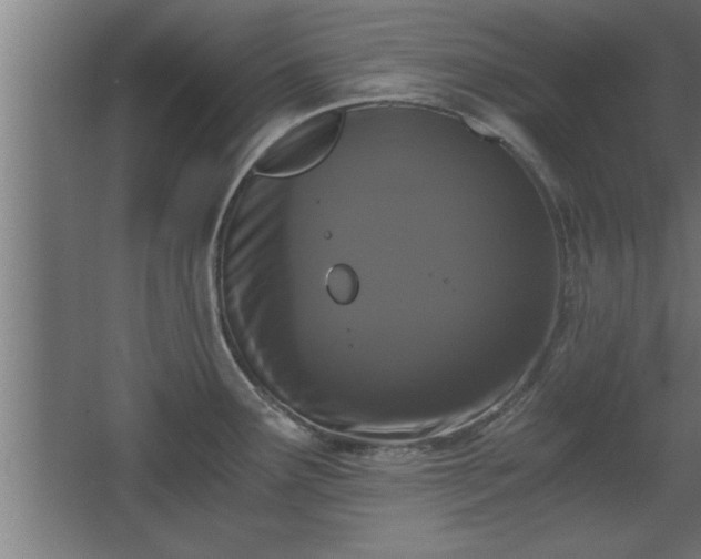 X0000068261291200604281516