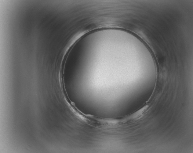 X0000068261293200604281516