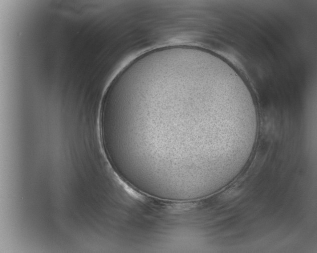 X0000068261294200604281516