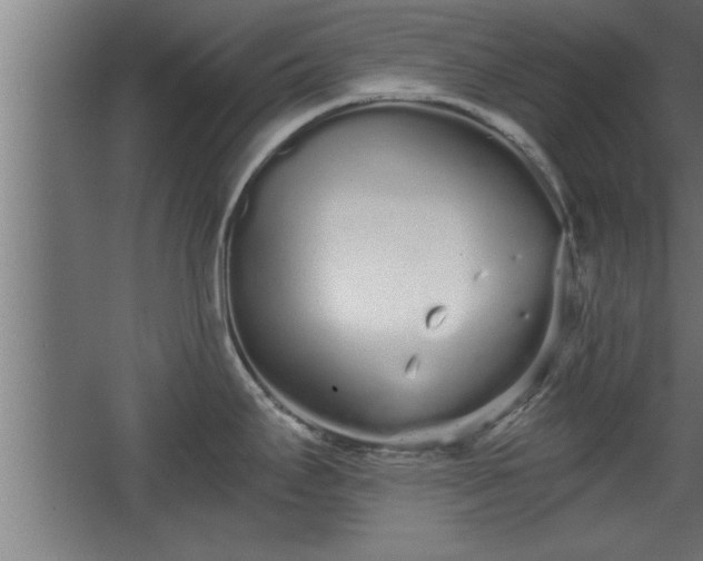 X0000068261295200604281516