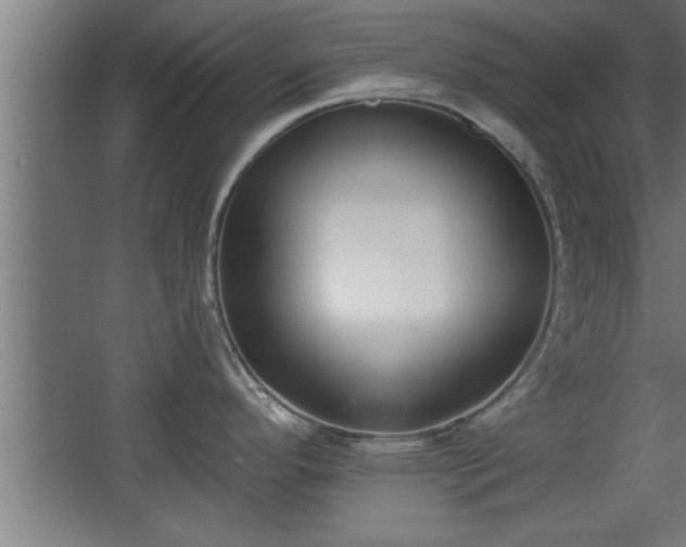 X0000068261296200604281516