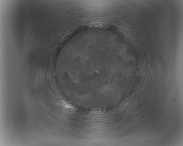 X0000068261297200604281515