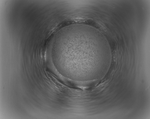 X0000068261298200604281515