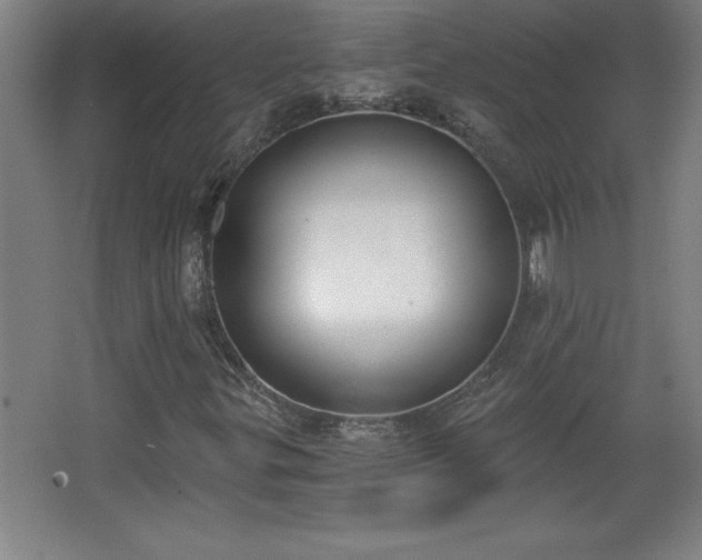 X0000068261299200604281515