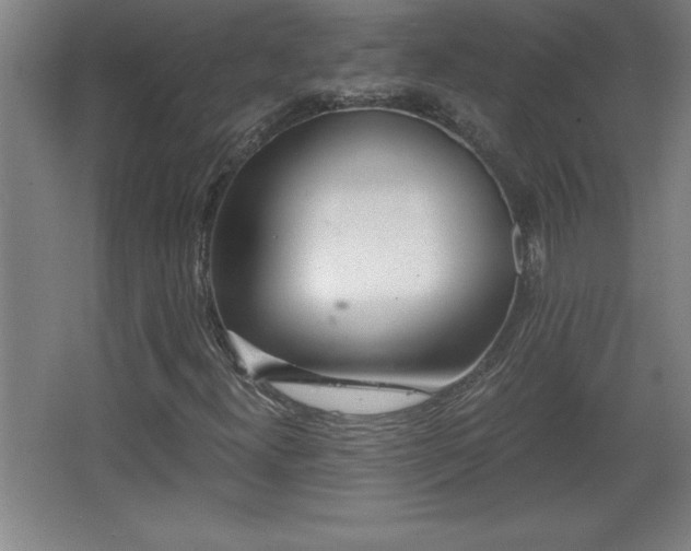 X0000068261300200604281515