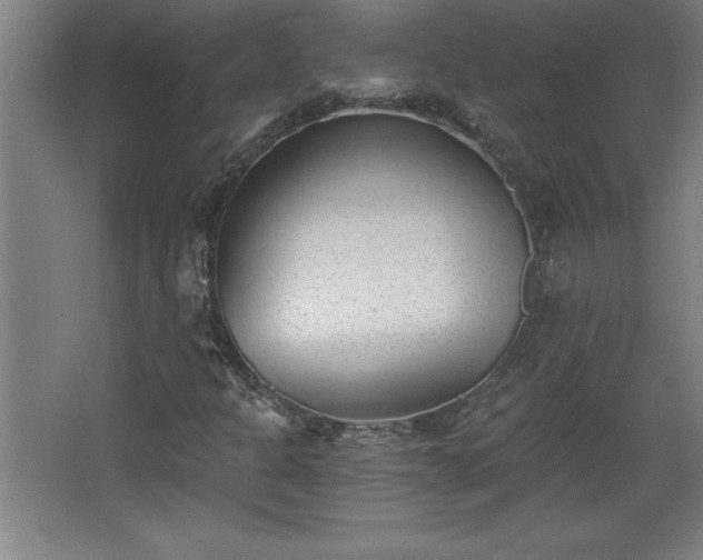 X0000068261301200604281515