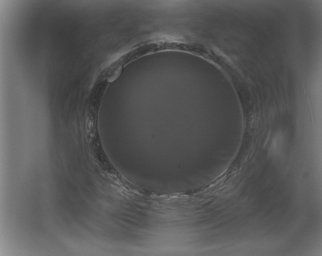 X0000068261303200604281515