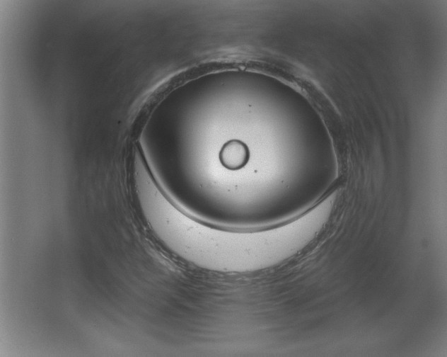 X0000068261304200604281515