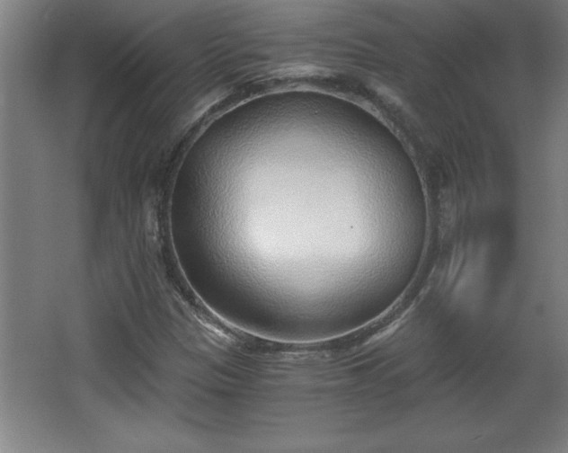 X0000068261305200604281515