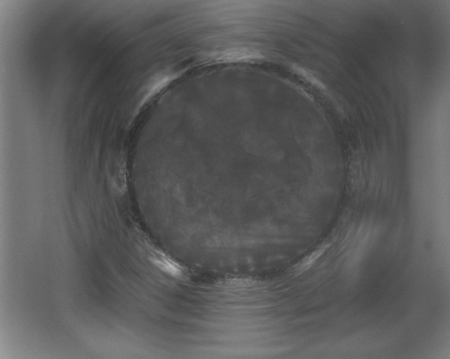 X0000068261306200604281515