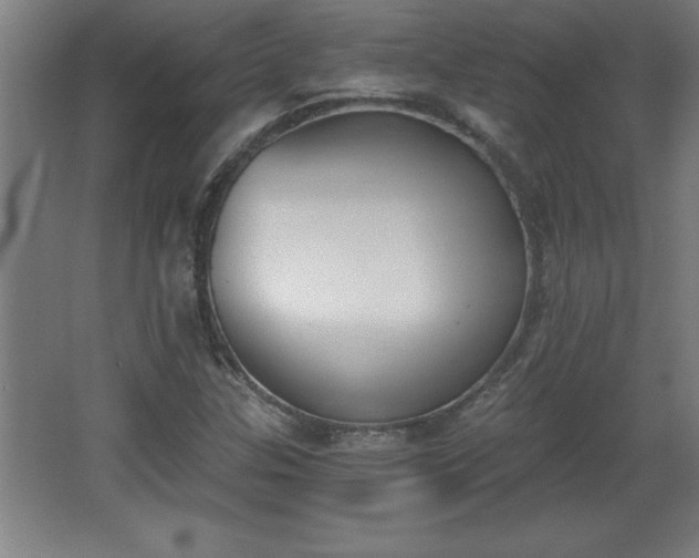 X0000068261307200604281515