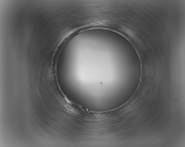 X0000068261308200604281515