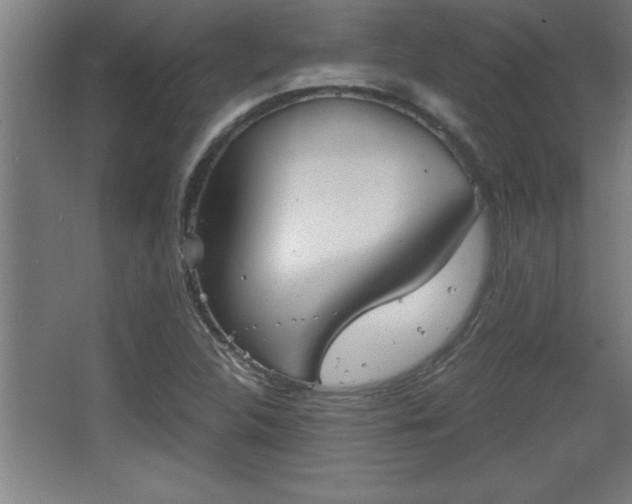 X0000068261312200604281515