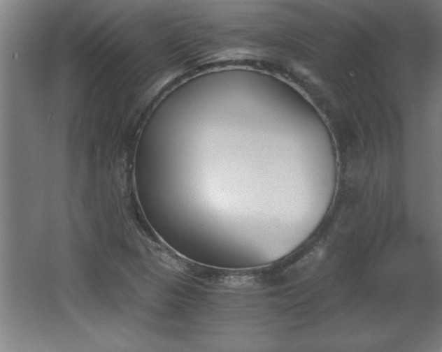 X0000068261313200604281515