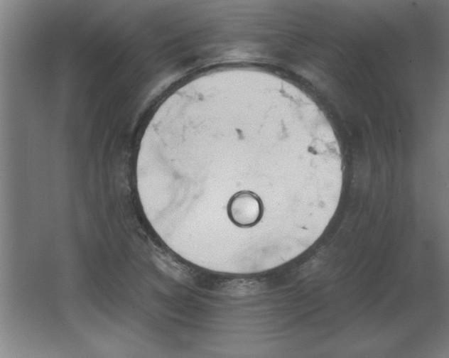 X0000068261314200604281515