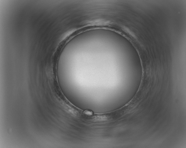 X0000068261315200604281515