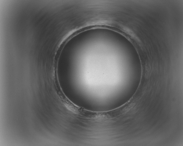 X0000068261316200604281515