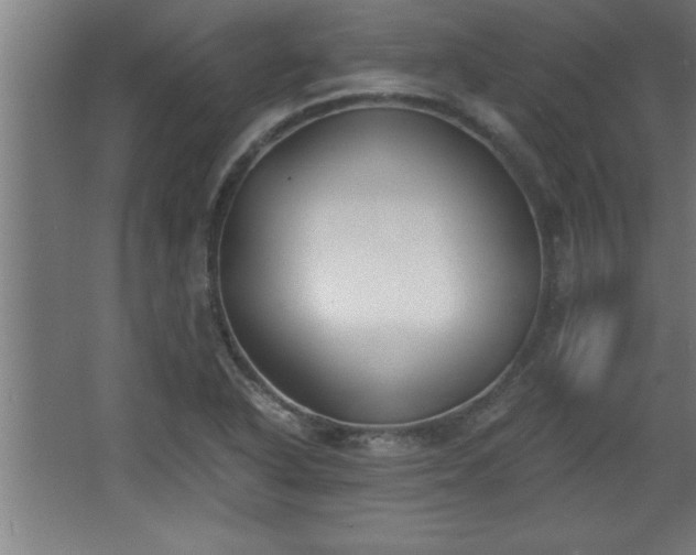 X0000068261318200604281515