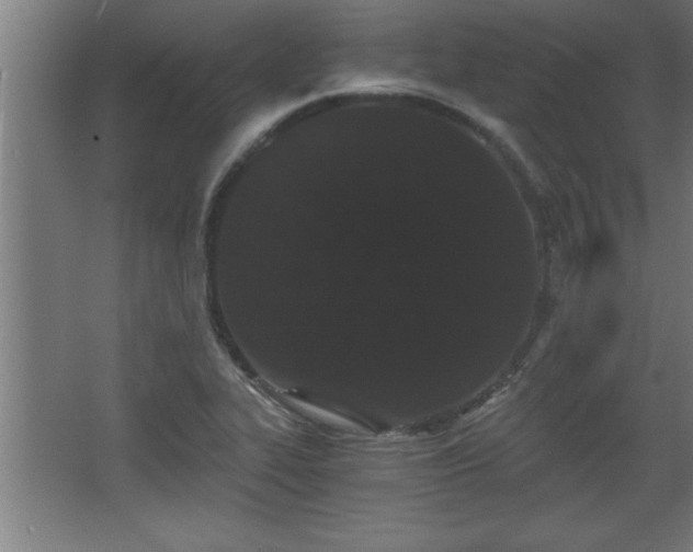 X0000068261319200604281515