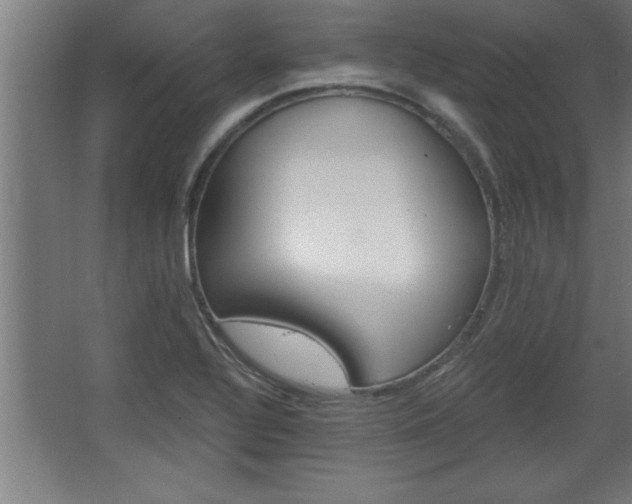 X0000068261320200604281515