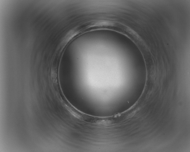 X0000068261321200604281515