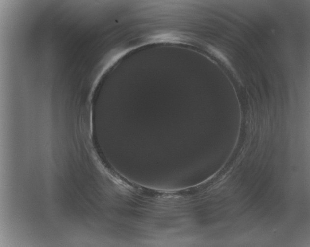 X0000068261323200604281515