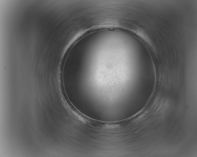 X0000068261325200604281515