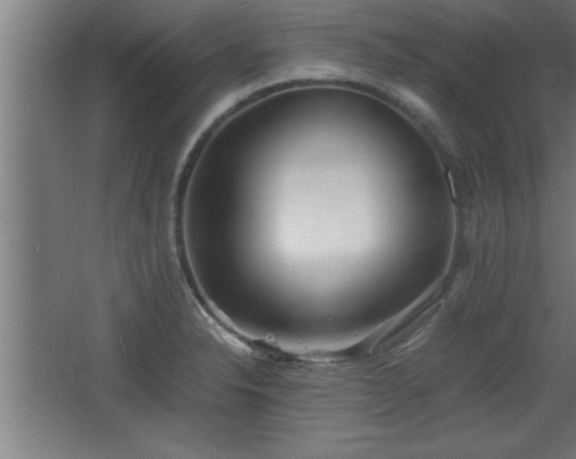 X0000068261326200604281515