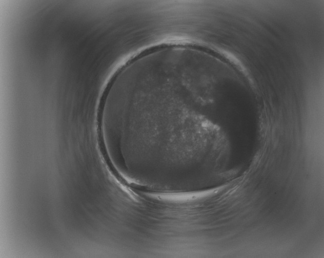 X0000068261327200604281515