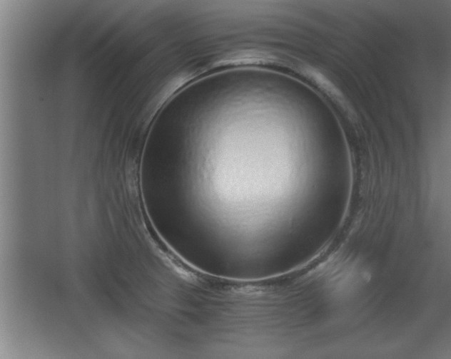 X0000068261329200604281515