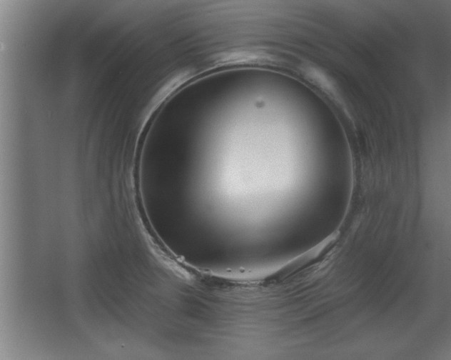 X0000068261330200604281515